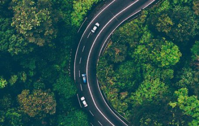 cars driving on curved road between trees